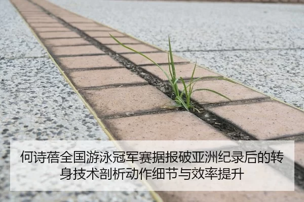 何诗蓓全国游泳冠军赛据报破亚洲纪录后的转身技术剖析动作细节与效率提升